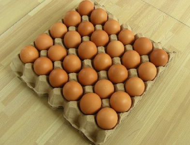 Egg tray (30 eggs)